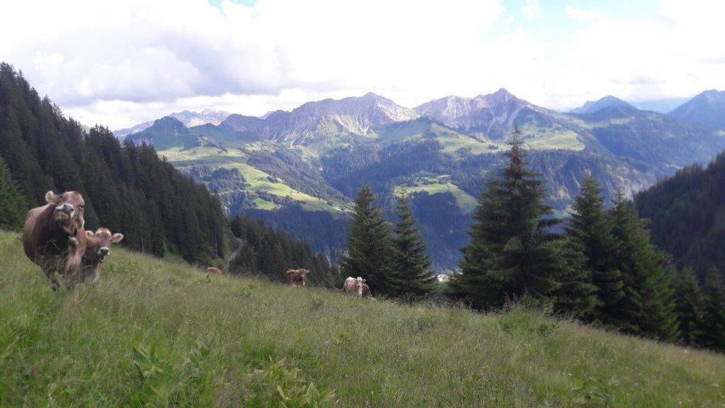 Berghaus Schafer Otel Faschina Dış mekan fotoğraf